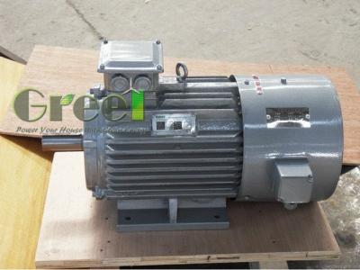 China IP54 Horizontal Axis Low RPM Permanent Magnet Alternator 5kW for sale