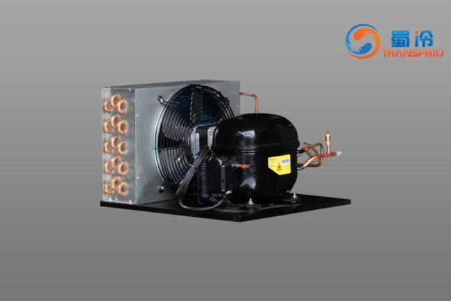 Commercial Use Constant Frequency 130W R290 R404 Control System OEM ODM L/M/Hbp Water Cooling Air Cooling Refrigeration Small Size Refrigeration Condensing Unit