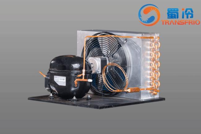 Commercial Use Constant Frequency 130W R290 R404 Control System OEM ODM L/M/Hbp Water Cooling Air Cooling Refrigeration Small Size Refrigeration Condensing Unit