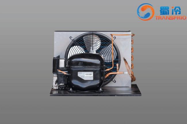 Commercial Use Constant Frequency 130W R290 R404 Control System OEM ODM L/M/Hbp Water Cooling Air Cooling Refrigeration Small Size Refrigeration Condensing Unit