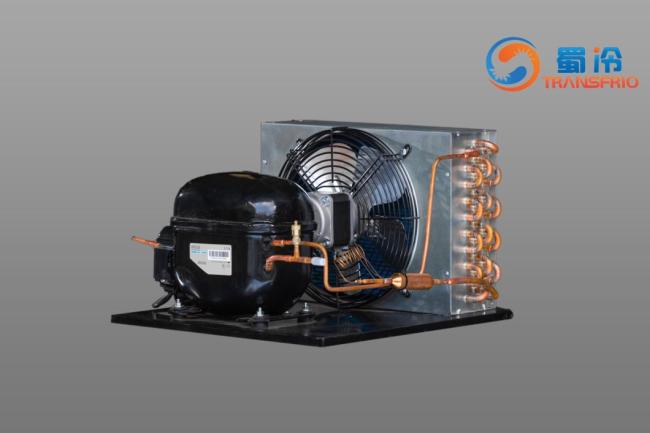 Commercial Use Constant Frequency 130W R290 R404 Control System OEM ODM L/M/Hbp Water Cooling Air Cooling Refrigeration Small Size Refrigeration Condensing Unit