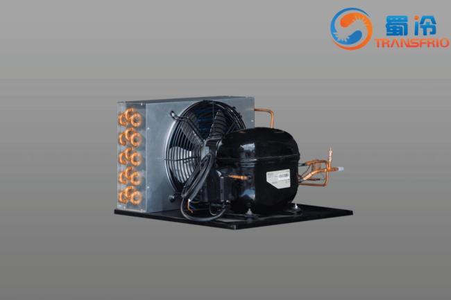Commercial Use Constant Frequency R600 R404 Control System OEM ODM L/M/Hbp Water Cooling Air Cooling Refrigeration Small Size Refrigeration 9yl Condensing Unit