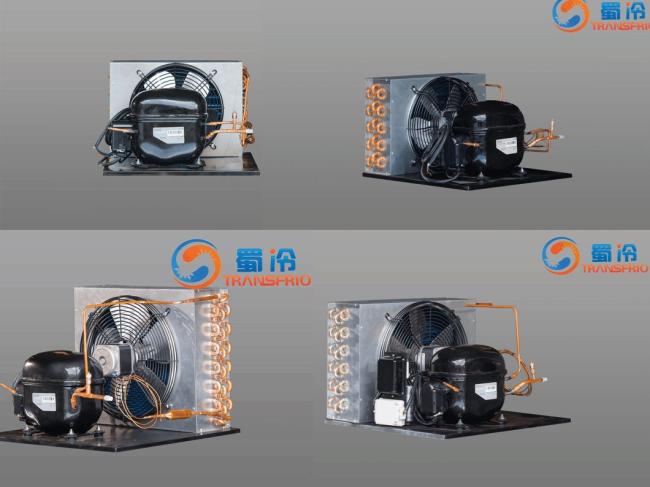 Commercial Use Constant Frequency R600 R404 Control System OEM ODM L/M/Hbp Water Cooling Air Cooling Refrigeration Small Size Refrigeration 18s Condensing Unit