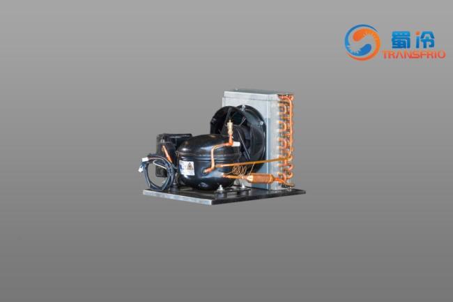 Commercial Use Constant Frequency R600 R404 Control System OEM ODM L/M/Hbp Water Cooling Air Cooling Refrigeration Small Size Refrigeration 18s Condensing Unit