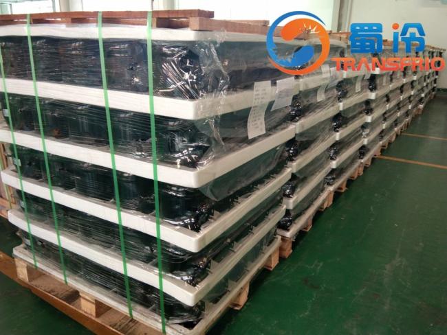 Reliable Stable Cost Effective High Duration Low Noise Small Size Mini Light Weight Eco Friendly Modern Efficient R600A DC Inverter Refrigeration Compressor