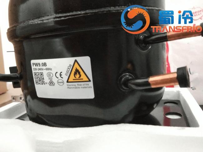 R600A Reliable Stable Cost Effective High Duration Low Noise Small Size Mini Light Weight Eco Friendly Modern Efficient DC Inverter Refrigeration Compressor