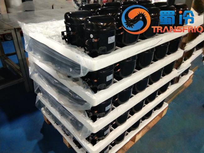 R600A Reliable Stable Cost Effective High Duration Low Noise Small Size Mini Light Weight Eco Friendly Modern Efficient DC Inverter Refrigeration Compressor