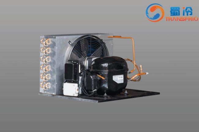 Commercial Use Constant Frequency R600 Mini R404 Control System OEM ODM L/M/Hbp Water Cooling Air Cooling Refrigeration Small Size Refrigeration Condensing Unit