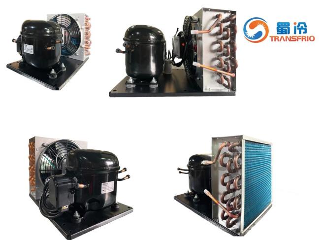 Commercial Use Constant Frequency R600 Mini R404 Control System OEM ODM L/M/Hbp Water Cooling Air Cooling Refrigeration Small Size Refrigeration Condensing Unit
