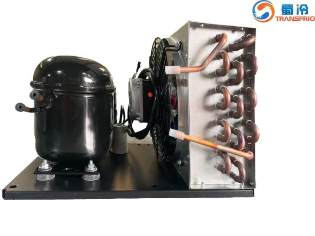 Commercial Use Constant Frequency R600 Mini R404 Control System OEM ODM L/M/Hbp Water Cooling Air Cooling Refrigeration Small Size Refrigeration Condensing Unit