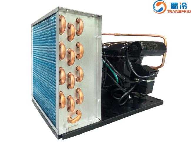 Commercial Use Constant Frequency R600 Mini R404 Control System OEM ODM L/M/Hbp Water Cooling Air Cooling Refrigeration Small Size Refrigeration Condensing Unit
