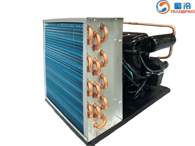 Commercial Use Constant Frequency R600 Mini R404 Control System OEM ODM L/M/Hbp Water Cooling Air Cooling Refrigeration Small Size Refrigeration Condensing Unit