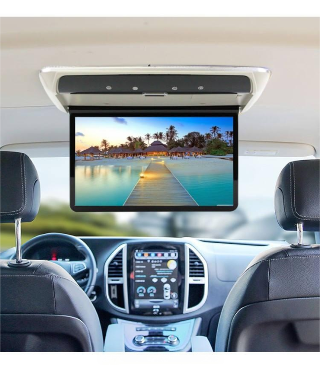 10.1 inch TFT LCD display module application example