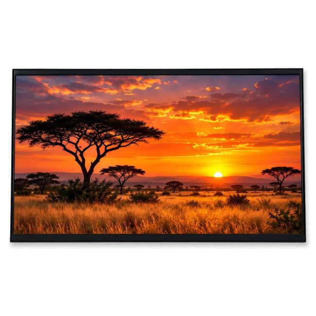 14 inch 1920x1080 600 nits eDP TFT LCD module