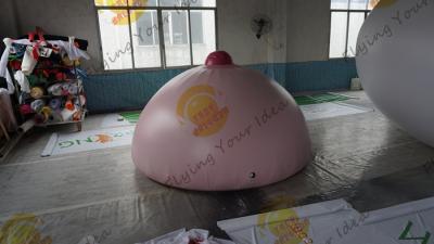 China réplicas infláveis cor-de-rosa atrativas do produto para celebrações do feriado do ano novo à venda