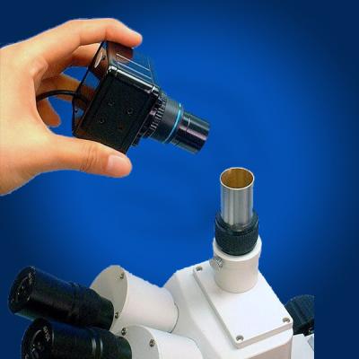 China cámara digital del microscopio de 10Megapixels USB, soporte de la cámara C del ocular en venta