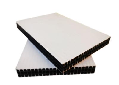 中国 平板の構造のプラスチック構造の型枠のコンクリートの壁12mm 15mm 18mm 販売のため
