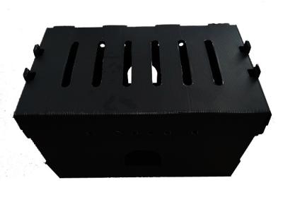 China PP Vegetable Corrugated Plastic Box for sale