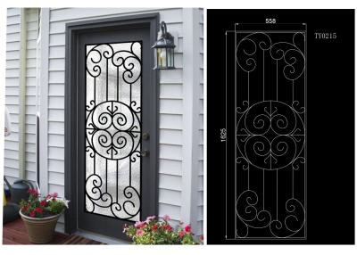 China Most Durable Agon Filled Wrought Iron Glass Doors 22*64 inch Size Shaped Crafted for sale