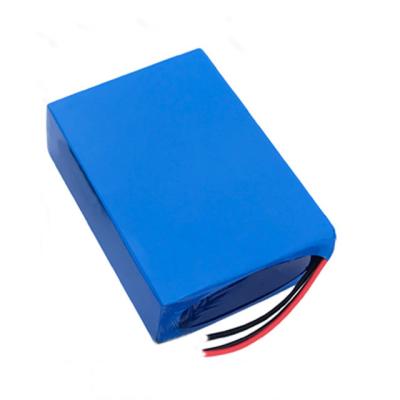 China E Bike 8S3P 10Ah 24V Lithium Ion Battery Pack Rechargeable 800 Times Cycle Life for sale
