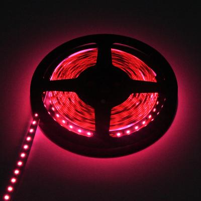 China Copper Material 5050 RGB LED Strip Flexible Pink Color 1000 X 10mm 24VDC for sale