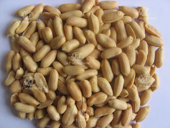 Various fried food products from continuous fryer