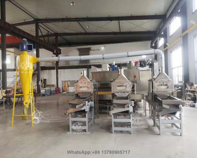 Peanut cutting and blanching machine operational view
