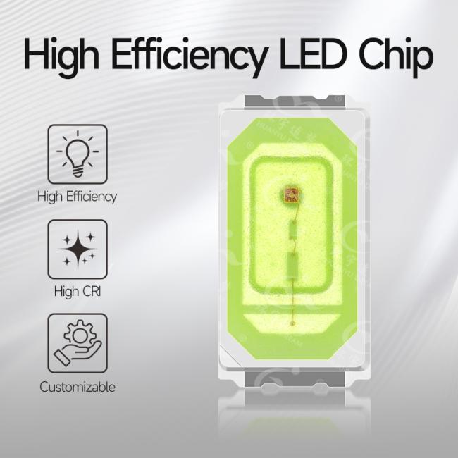 Dual Color 5050 SMD LED Chip showing detailed component structure