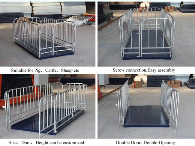 1.2*1.5m 500kg 1000kg 1500kg Balance Livestock Scale Cattle Weighing Scale High Quality Good Price Low Cost Animal Weight Scale