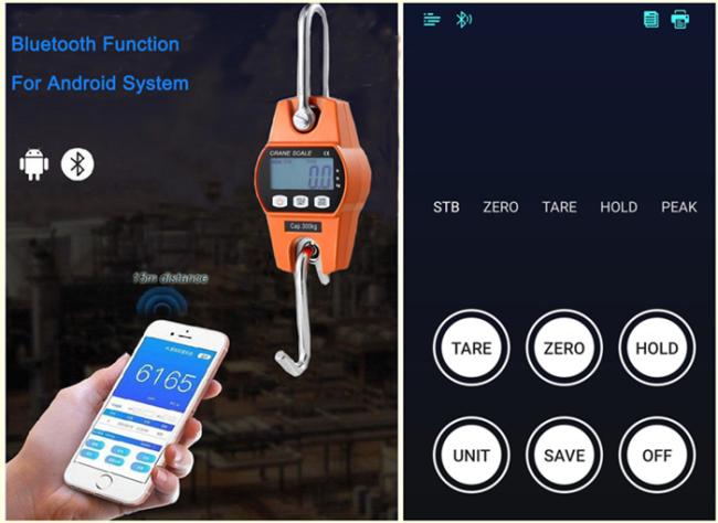 Digital Blue-tooth Function 300kg Hanging Crane Scale
