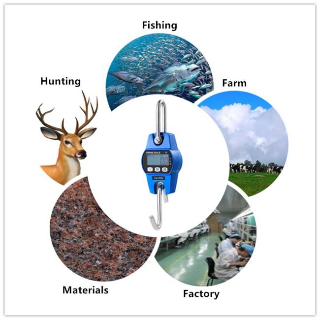 Digital Blue-tooth Function 300kg Hanging Crane Scale