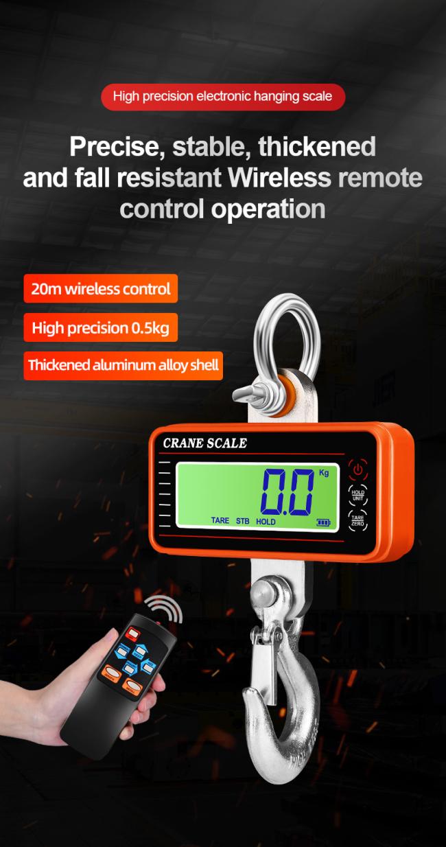 Precision Hanging Crane Weighing Scale 100kg 300kg 500kg 1000kg 1t Weight Crane Scale With OIML Approval