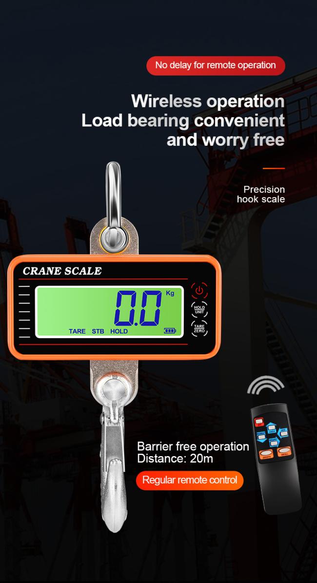 Precision Hanging Crane Weighing Scale 100kg 300kg 500kg 1000kg 1t Weight Crane Scale With OIML Approval