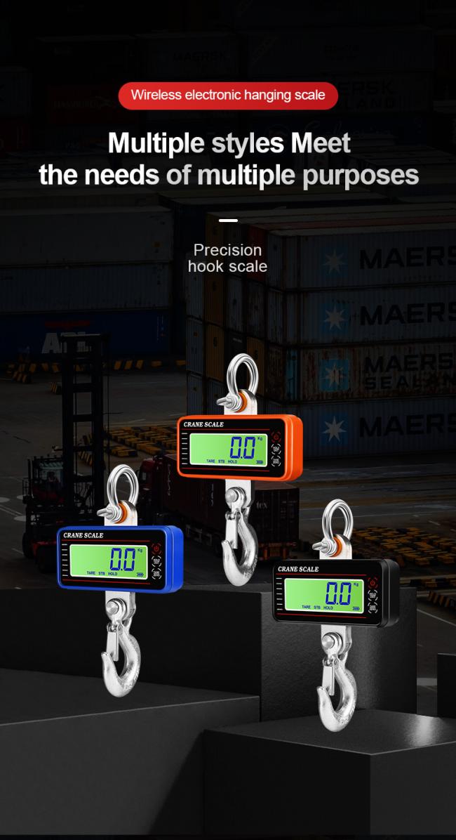 Precision Hanging Crane Weighing Scale 100kg 300kg 500kg 1000kg 1t Weight Crane Scale With OIML Approval