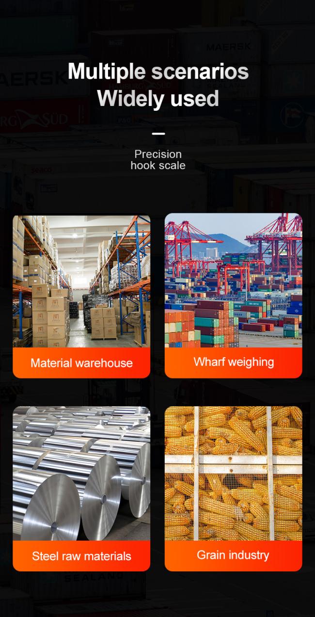 Precision Hanging Crane Weighing Scale 100kg 300kg 500kg 1000kg 1t Weight Crane Scale With OIML Approval