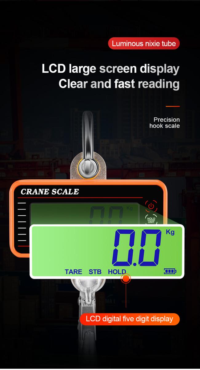 Precision Hanging Crane Weighing Scale 100kg 300kg 500kg 1000kg 1t Weight Crane Scale With OIML Approval