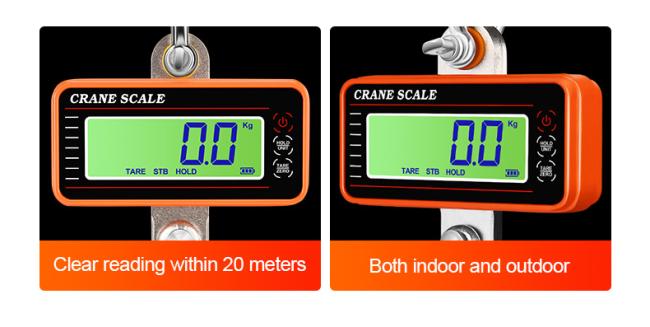 Precision Hanging Crane Weighing Scale 100kg 300kg 500kg 1000kg 1t Weight Crane Scale With OIML Approval