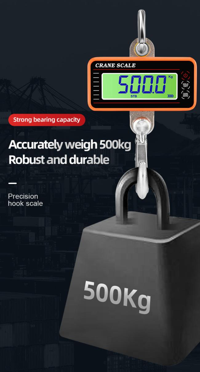 Precision Hanging Crane Weighing Scale 100kg 300kg 500kg 1000kg 1t Weight Crane Scale With OIML Approval