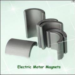 China New Electric Motor Magnet for sale