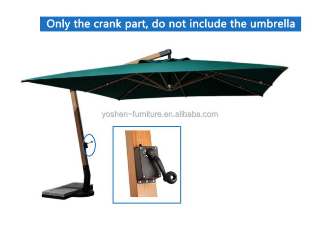 Green umbrella -3.jpg