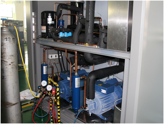 12 cubic Walk-in Programmable Constant temperature and humidity Chamber