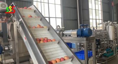 China 1000kg/H Apple Input Juice Fruit Puree Processing Line Automatic Operation for sale