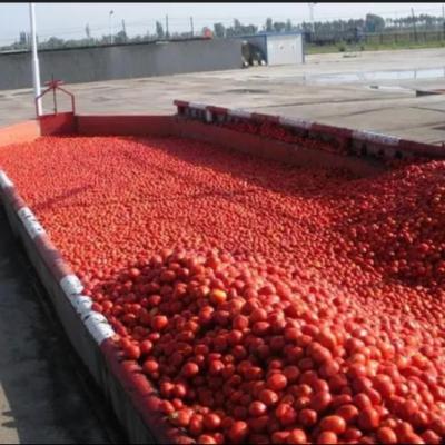 China Tomato Paste Large Production Line For 50 Tones Per Day Processing Machine for sale