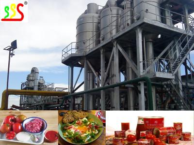China Concentrated Fruit Pulp Production Line High Capacity for sale