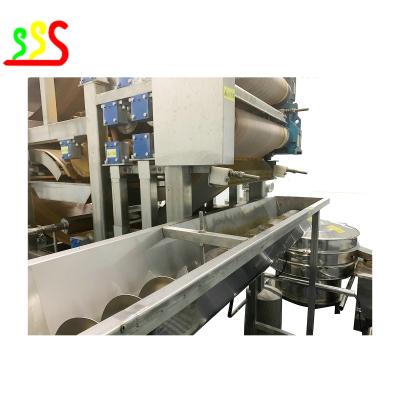 China Aseptic Packing Mango Pulp Fruit Puree Production Line 3 Tons Per Hour for sale