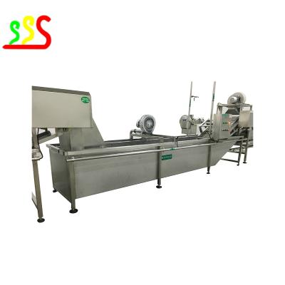 Chine Mangue automatique Juice Processing Line Customization à vendre