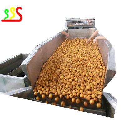 China Concentrated Fruit Pulp Production Line For Blueberrues Strawberries Raspberries for sale
