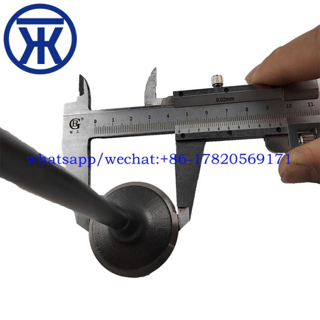 1-12551139-0 1125511390 1-87618344-0 IN VALVE INTAKE INLET VALVE FOR 4BD1 6BD1 4BG1 6BG1