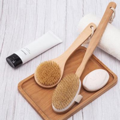 China Exfoliate o alisamento da escova natural do corpo do banho da pele para a parte traseira à venda