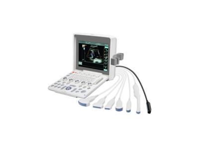China Portable Color Ultrasound Doppler Ultrasound Scanner With 12.1 Inch LED Monitor for sale